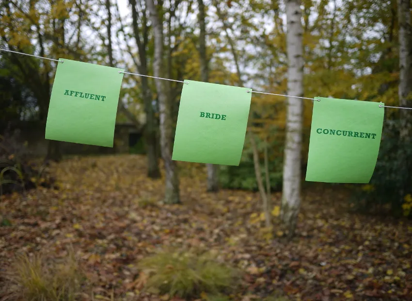 image du titre SUITE