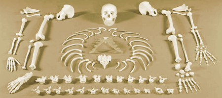 The Skeleton Dance, Disney 1929.