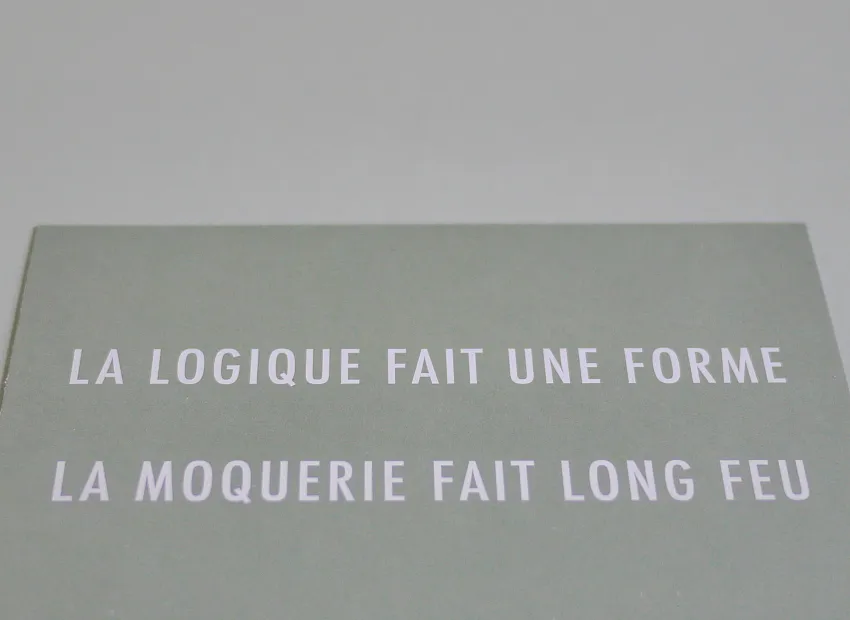 image du titre 16 ANAGRAMMES FORMALISTES