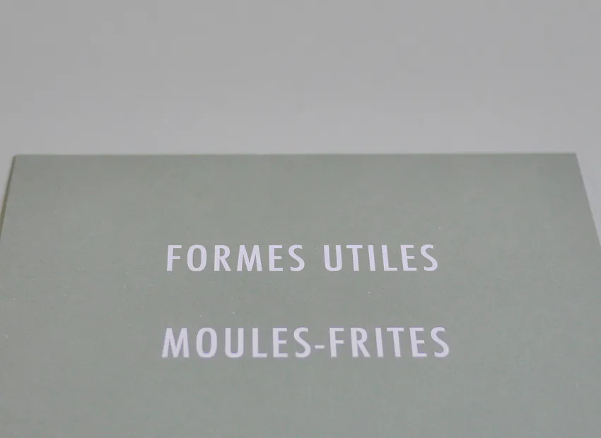 image du titre 16 ANAGRAMMES FORMALISTES