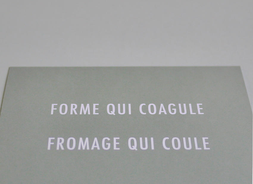 image du titre 16 ANAGRAMMES FORMALISTES