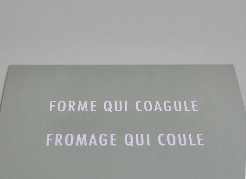 image du titre 16 ANAGRAMMES FORMALISTES