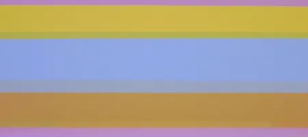 cheville_2