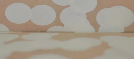 poumon deux