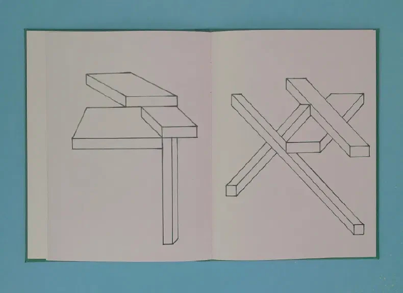 image du titre LOINTAIN BOUSCULÉ