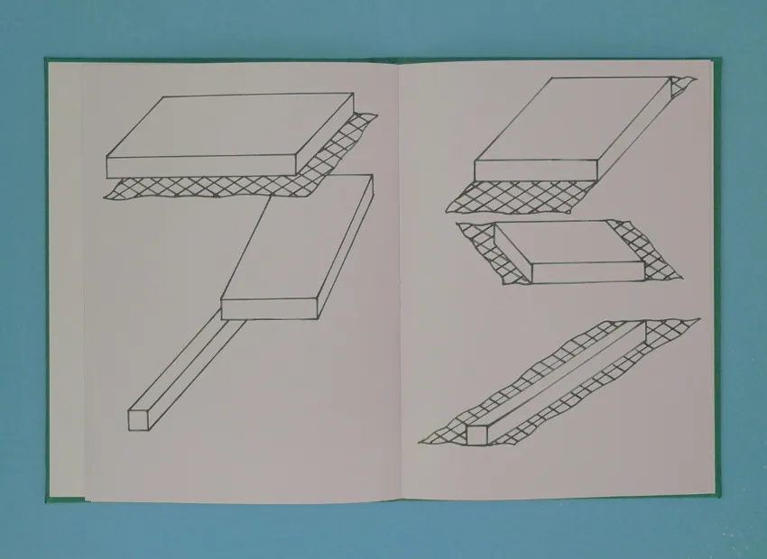 image du titre LOINTAIN BOUSCULÉ
