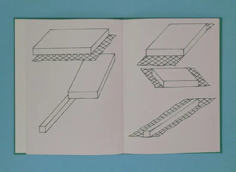image du titre LOINTAIN BOUSCULÉ