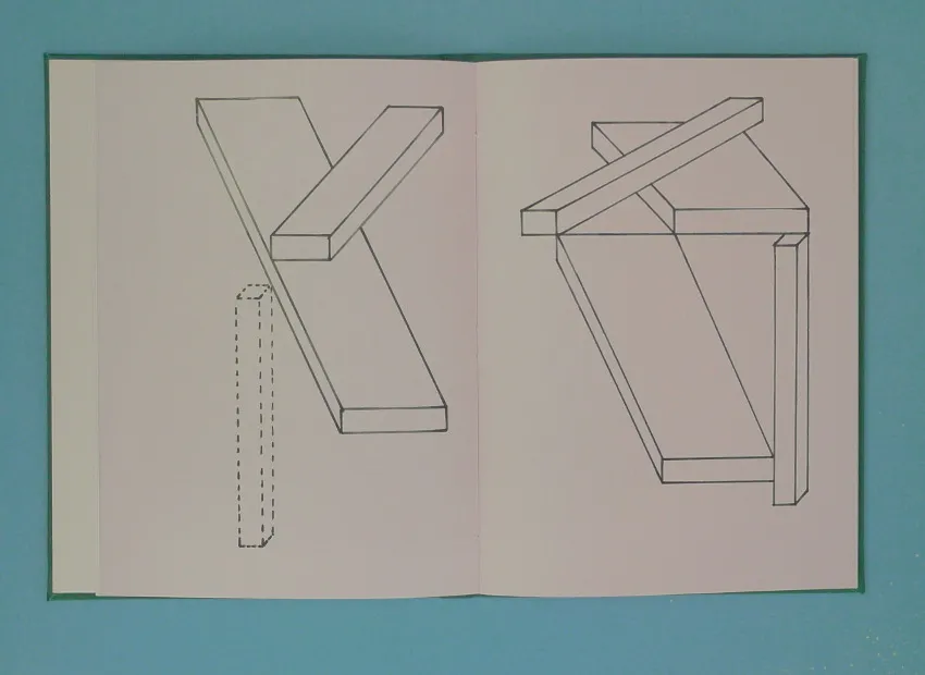image du titre LOINTAIN BOUSCULÉ
