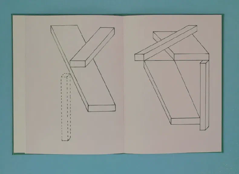 image du titre LOINTAIN BOUSCULÉ