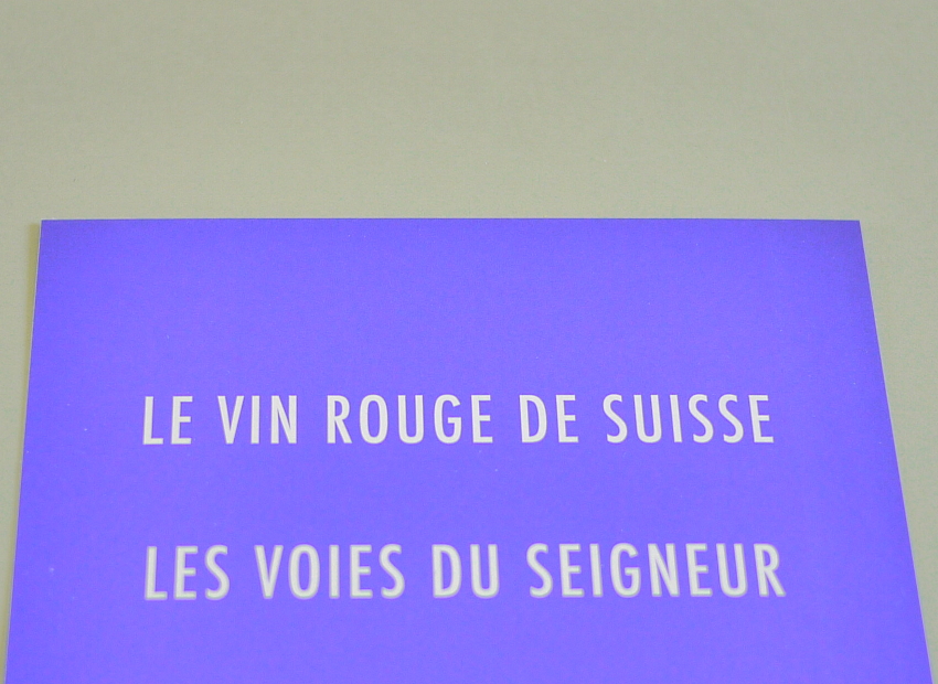 image du titre 16 ANAGRAMMES SACRILÈGES