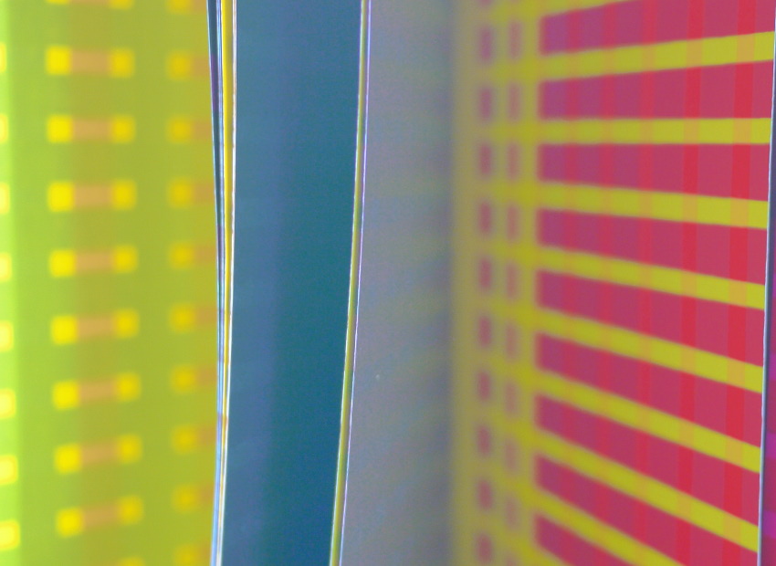 image du titre LA MAIN MEMBRE ET COLLABORATEUR