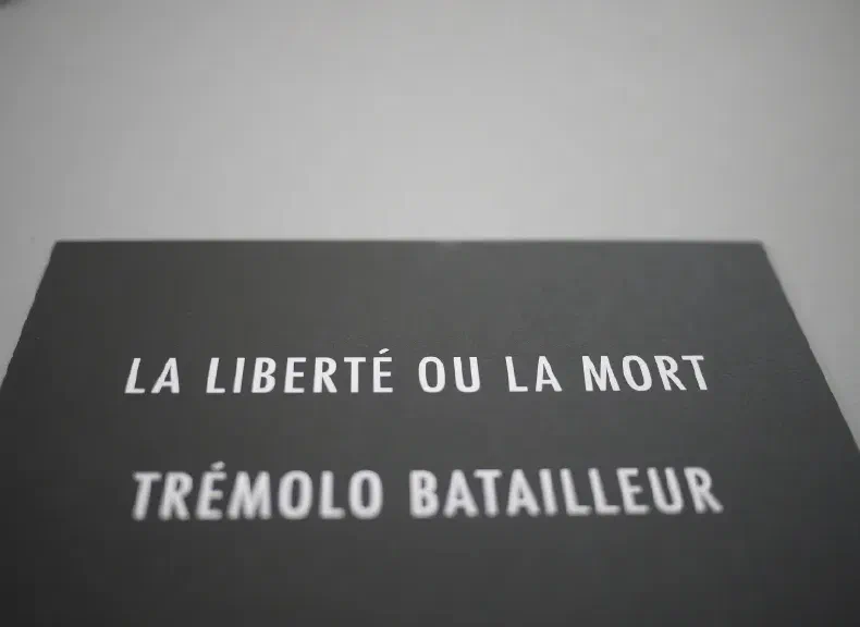 image du titre 16 ANAGRAMMES MORTELLES