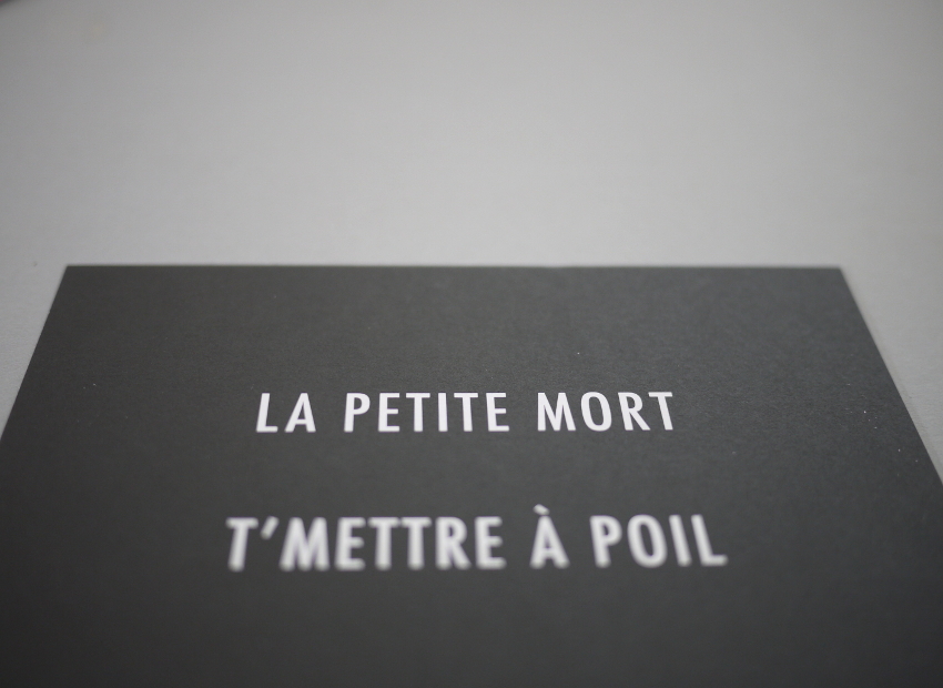 image du titre 16 ANAGRAMMES MORTELLES