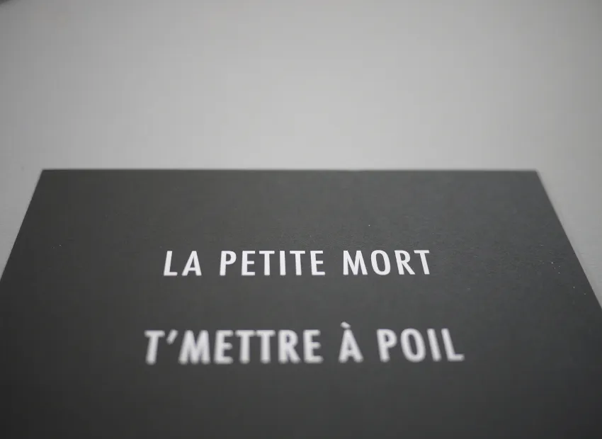 image du titre 16 ANAGRAMMES MORTELLES