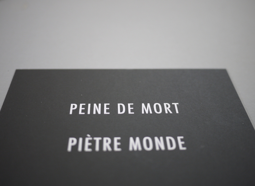 image du titre 16 ANAGRAMMES MORTELLES