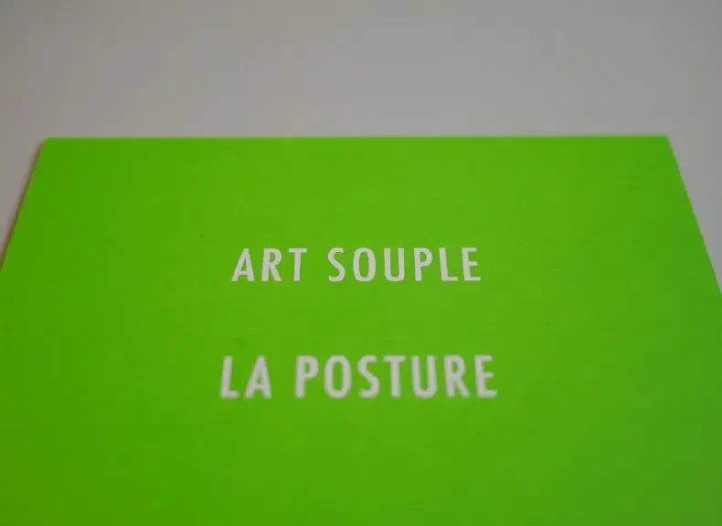 image du titre 30 ANAGRAMMES ARTISTIQUES