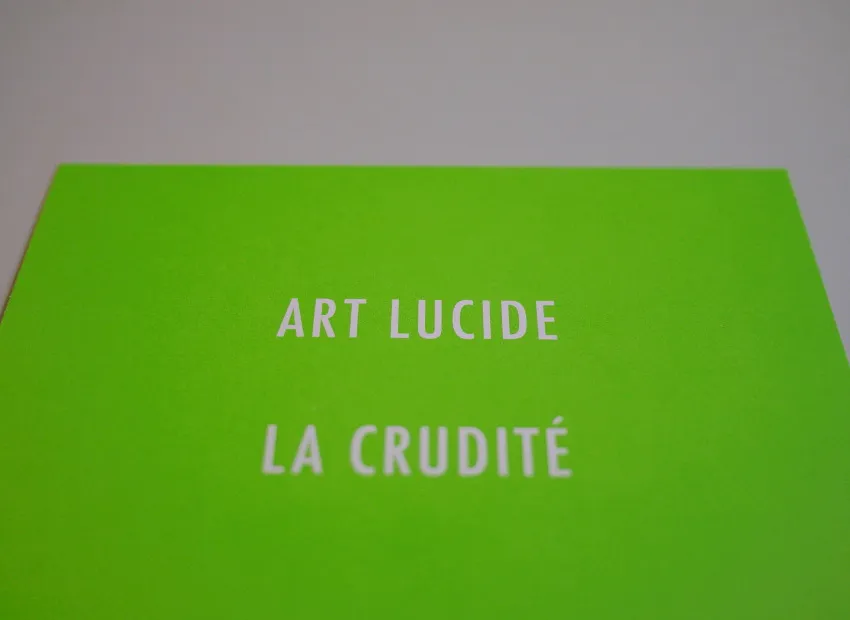 image du titre 30 ANAGRAMMES ARTISTIQUES