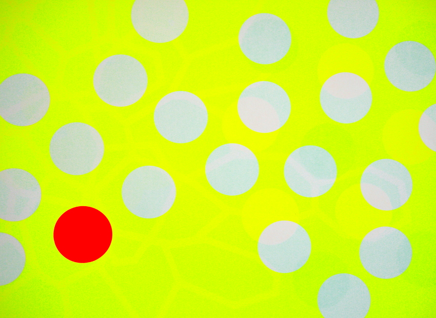 image du titre DES FLEURS PEINTES SUR DES ASSIETTES