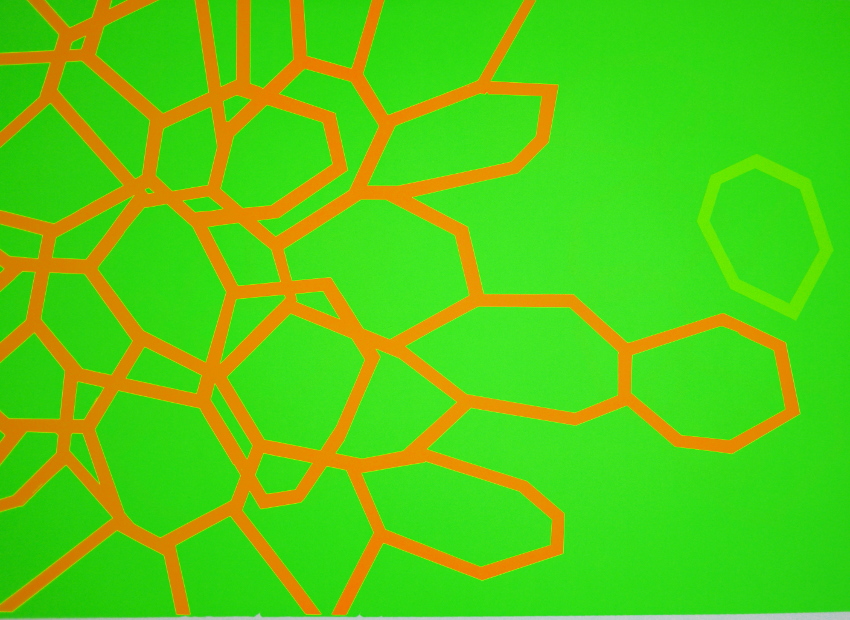image du titre DES FLEURS PEINTES SUR DES ASSIETTES