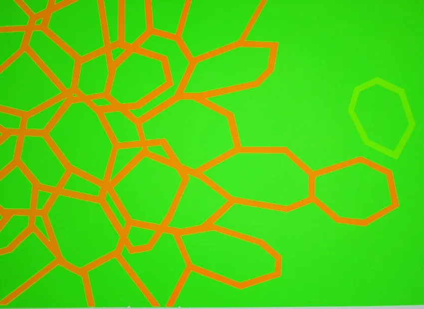 image du titre DES FLEURS PEINTES SUR DES ASSIETTES