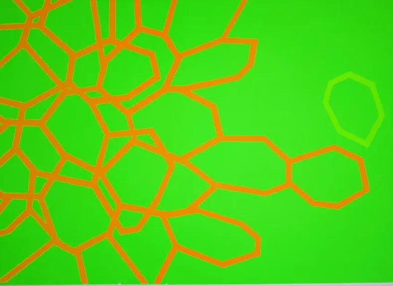 image du titre DES FLEURS PEINTES SUR DES ASSIETTES