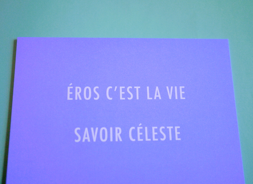 image du titre 16 ANAGRAMMES CHAMPÊTRES