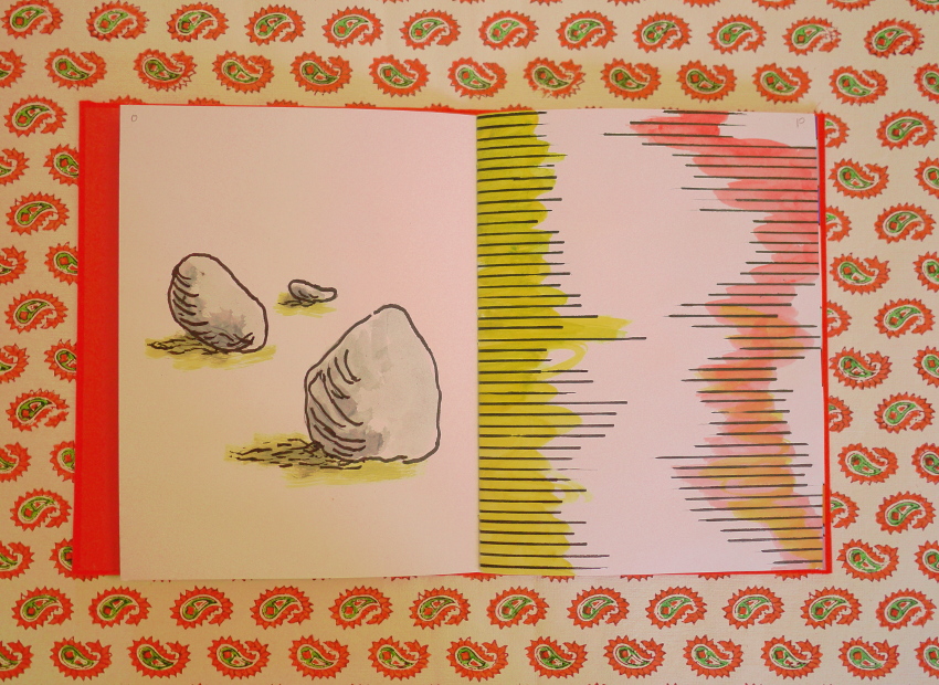 image du titre TOPOGRAPIE DU HARICOT
