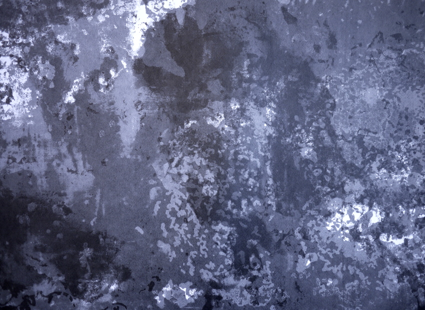 image du titre LUSTRE