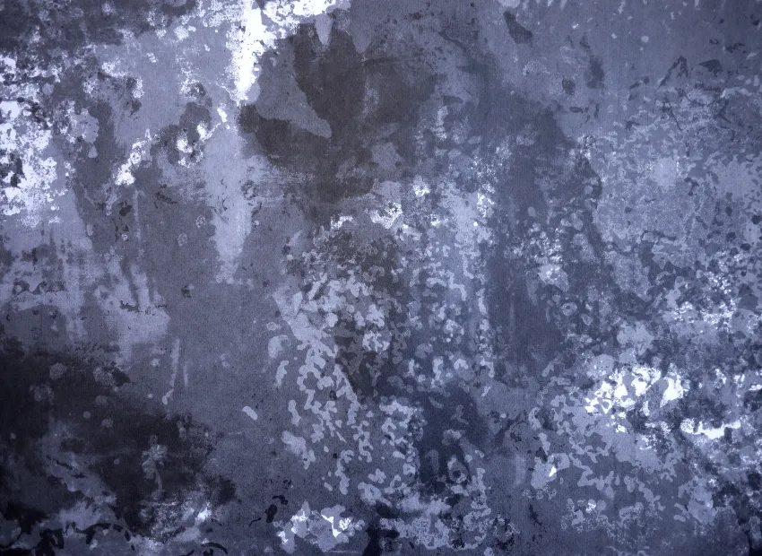 image du titre LUSTRE