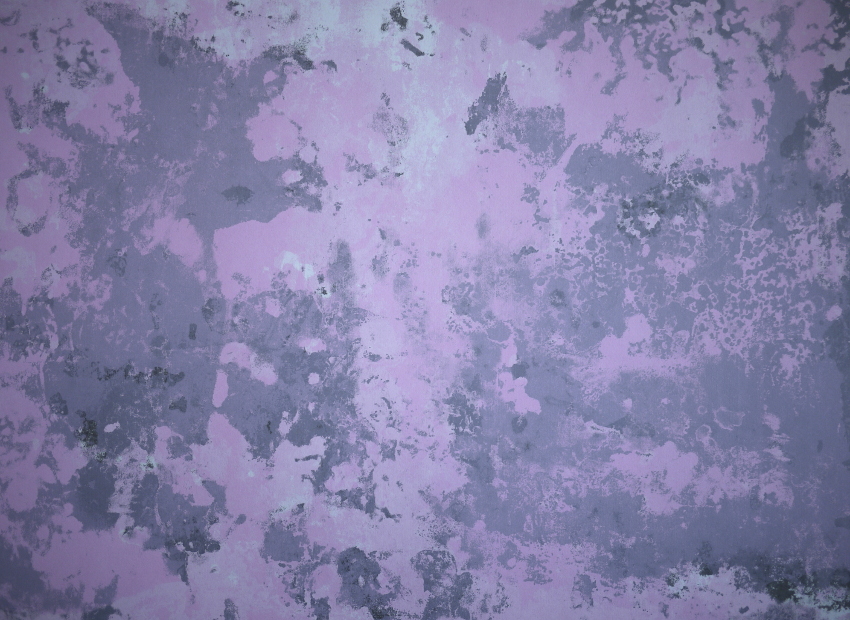 image du titre LUSTRE