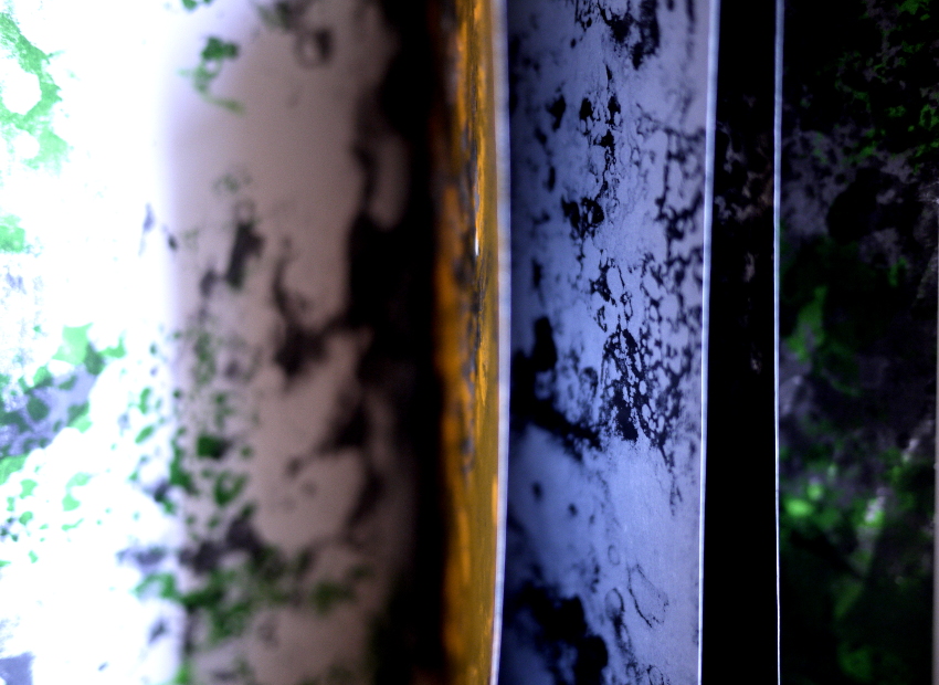 image du titre LUSTRE (BIS)