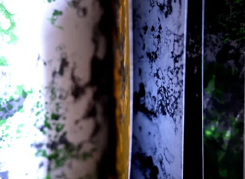 image du titre LUSTRE (BIS)