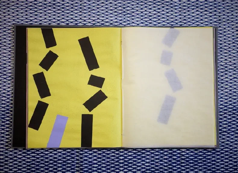image du titre CHUTE D'ÉCHAFAUDAGE