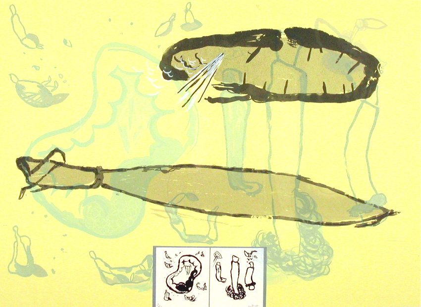 image du titre L'EFFACEMENT DERRIÈRE L'OMBRE