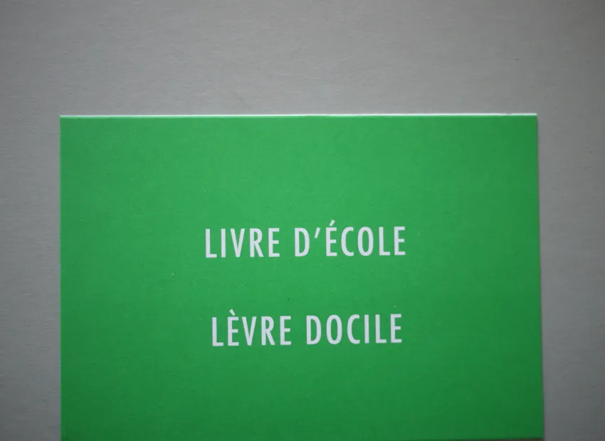 image du titre LECTURE MOBILE