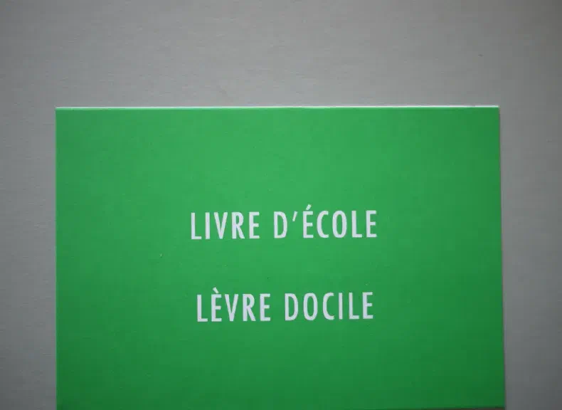 image du titre LECTURE MOBILE