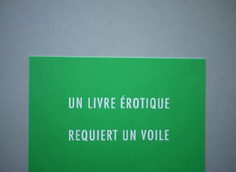 image du titre LECTURE MOBILE