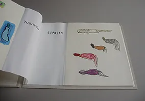 image du titre ESPACES CONTIGUS