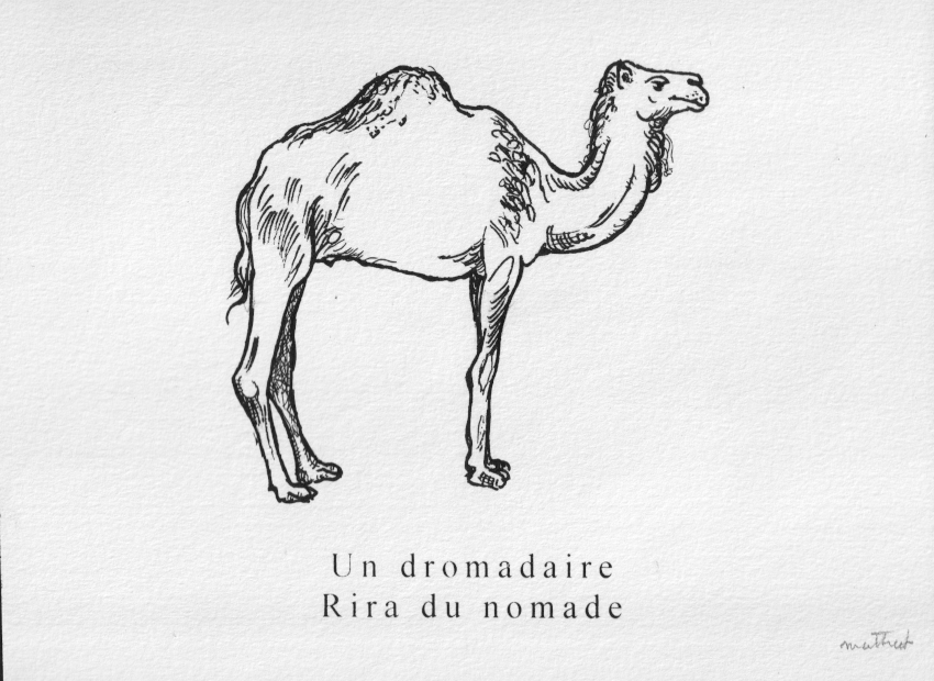 image du titre LA FAUNE ET LA FLORE