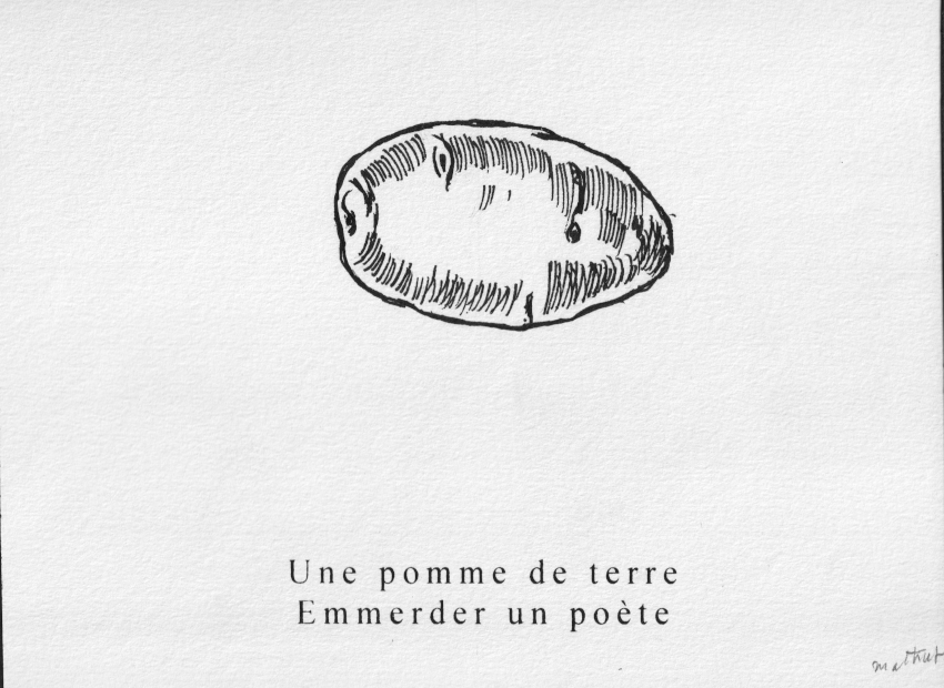 image du titre LA FAUNE ET LA FLORE