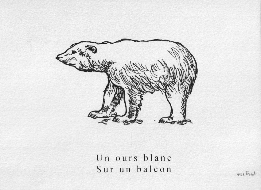 image du titre LA FAUNE ET LA FLORE