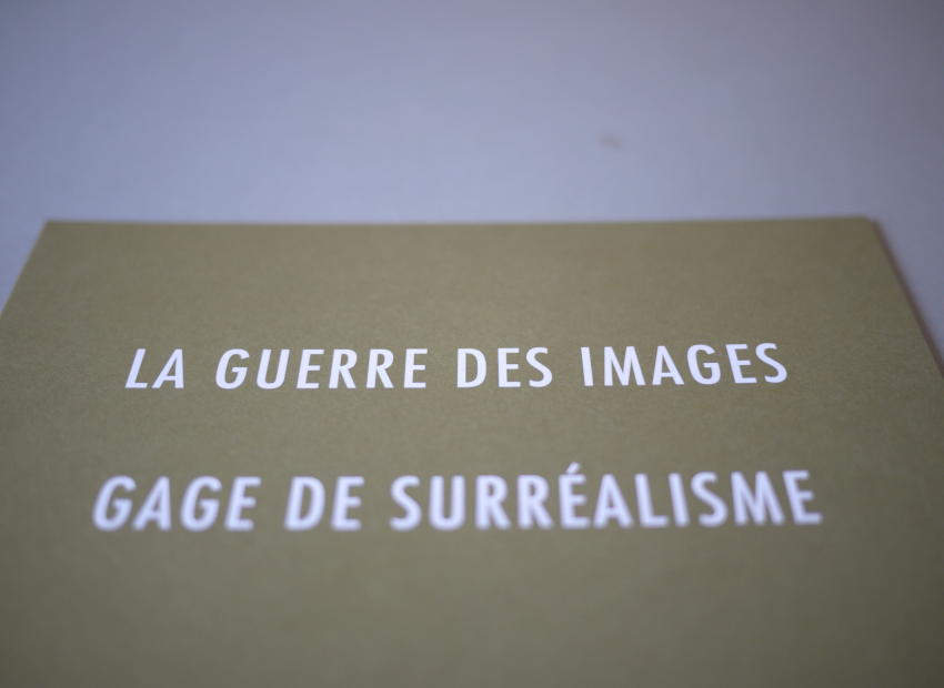 image du titre ANAGRAMMES BELLIQUEUSES
