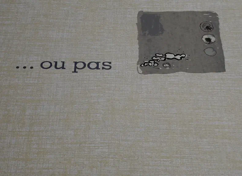 image du titre ...OU PAS
