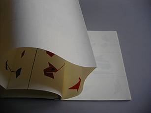 image du titre ANATOMIE