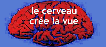 Le cerveau est la parodie de l'équateur.