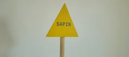 lapin