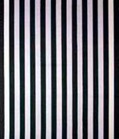 Daniel Buren, avril 1969, Paris, FrancePeinture acrylique blanche sur toile de coton tissé à rayures blanches et noires, alternées et verticales, de 8,7 cm (± 0,3) de large chacune.253 x 213,5 cm (sur toile libre). 242,5 x 204,5 cm (sur châssis).