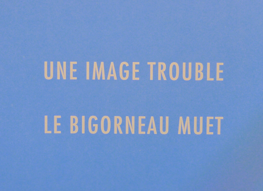image du titre ANAGRAMMES POUR VOIR DOUBLE