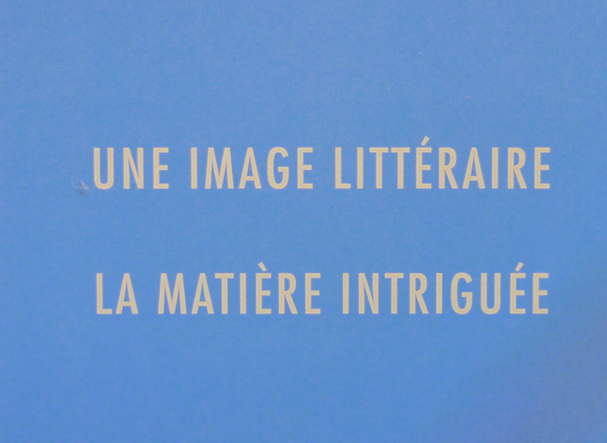 image du titre ANAGRAMMES POUR VOIR DOUBLE