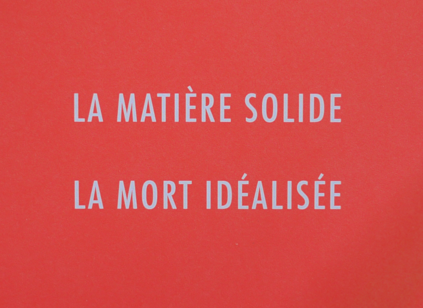 image du titre ANAGRAMMES POUR LA RENAISSANCE DE LA MATIÈRE